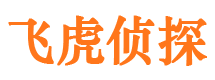 沅陵找人公司